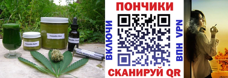 дарнет шоп  Кувшиново  Canna-Cookies конопля 