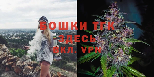 spice Алзамай