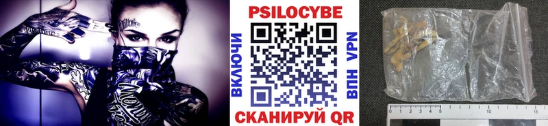 Галлюциногенные грибы мицелий  купить закладку  Кувшиново 